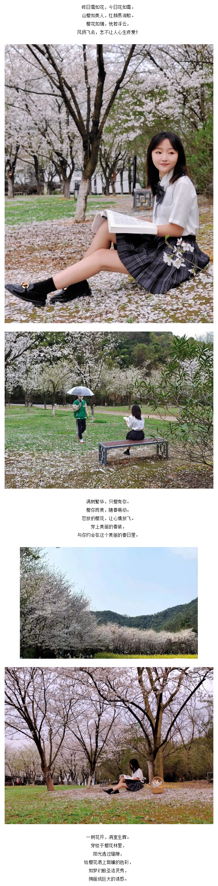 【“醉”美鉴湖-香“鉴”恨晚】“樱”为有你，“樱”你而美_05.jpg