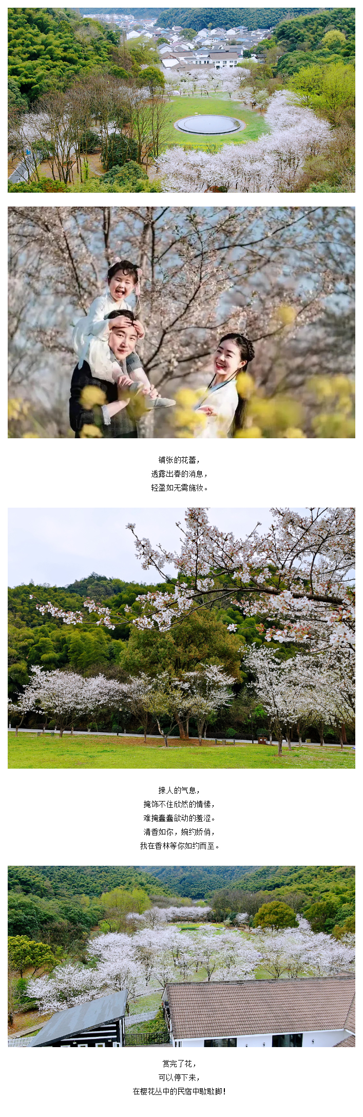 【“醉”美鉴湖-香“鉴”恨晚】“樱”为有你，“樱”你而美_07.jpg