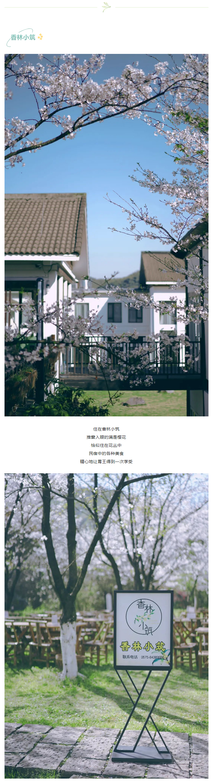 【“醉”美鉴湖-香“鉴”恨晚】“樱”为有你，“樱”你而美_09.jpg